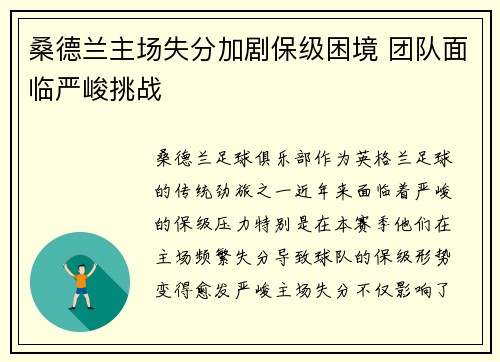 桑德兰主场失分加剧保级困境 团队面临严峻挑战