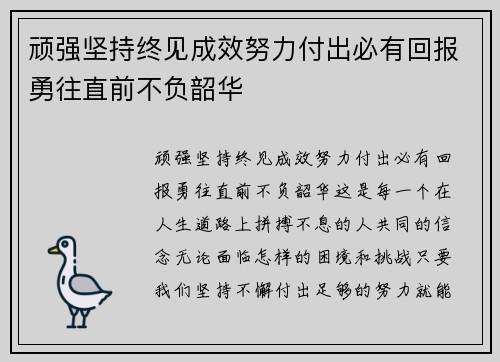 顽强坚持终见成效努力付出必有回报勇往直前不负韶华